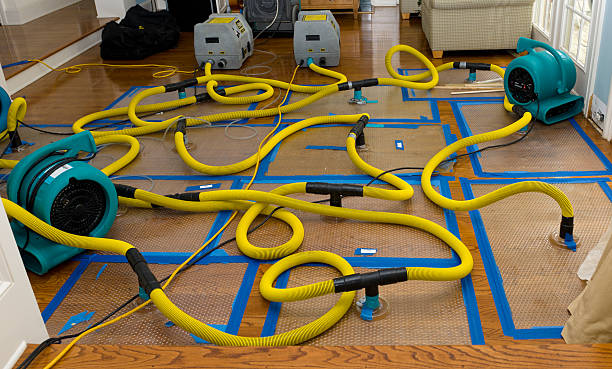 Professional Burst Pipe Water Damage technician working in Telford, PA